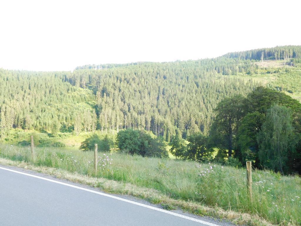 Apartment Schluchsee Eksteriør bilde