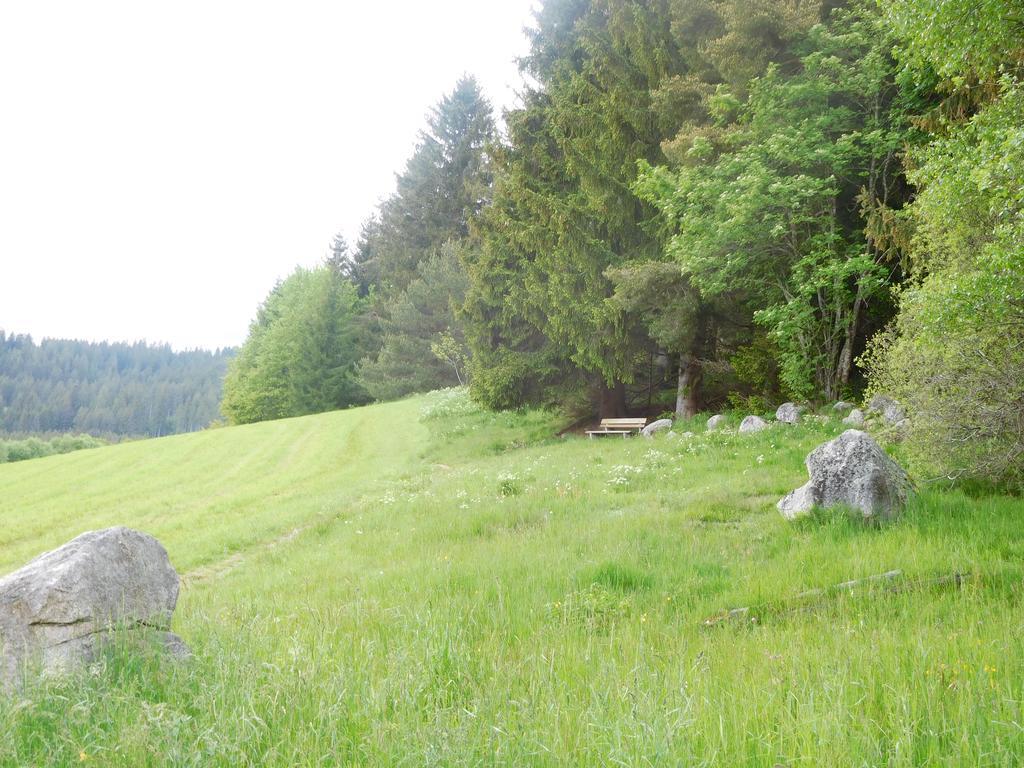 Apartment Schluchsee Eksteriør bilde